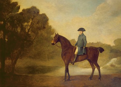 Un gentiluomo su un cavallo baio, 1771 da George Stubbs